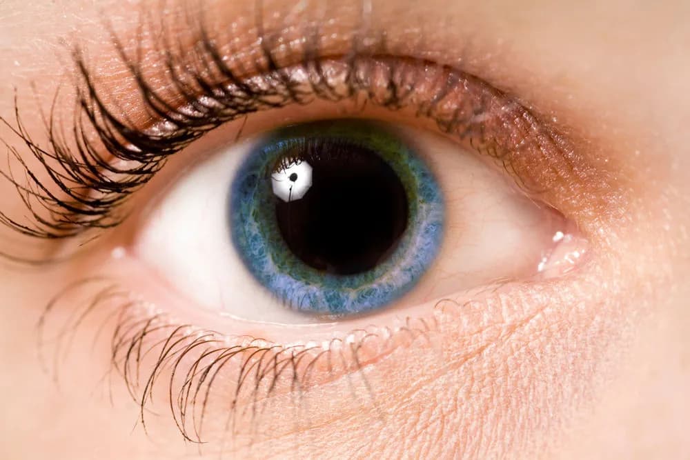What Drugs Cause Dilated Pupils?